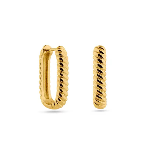 Fancy Earrings
