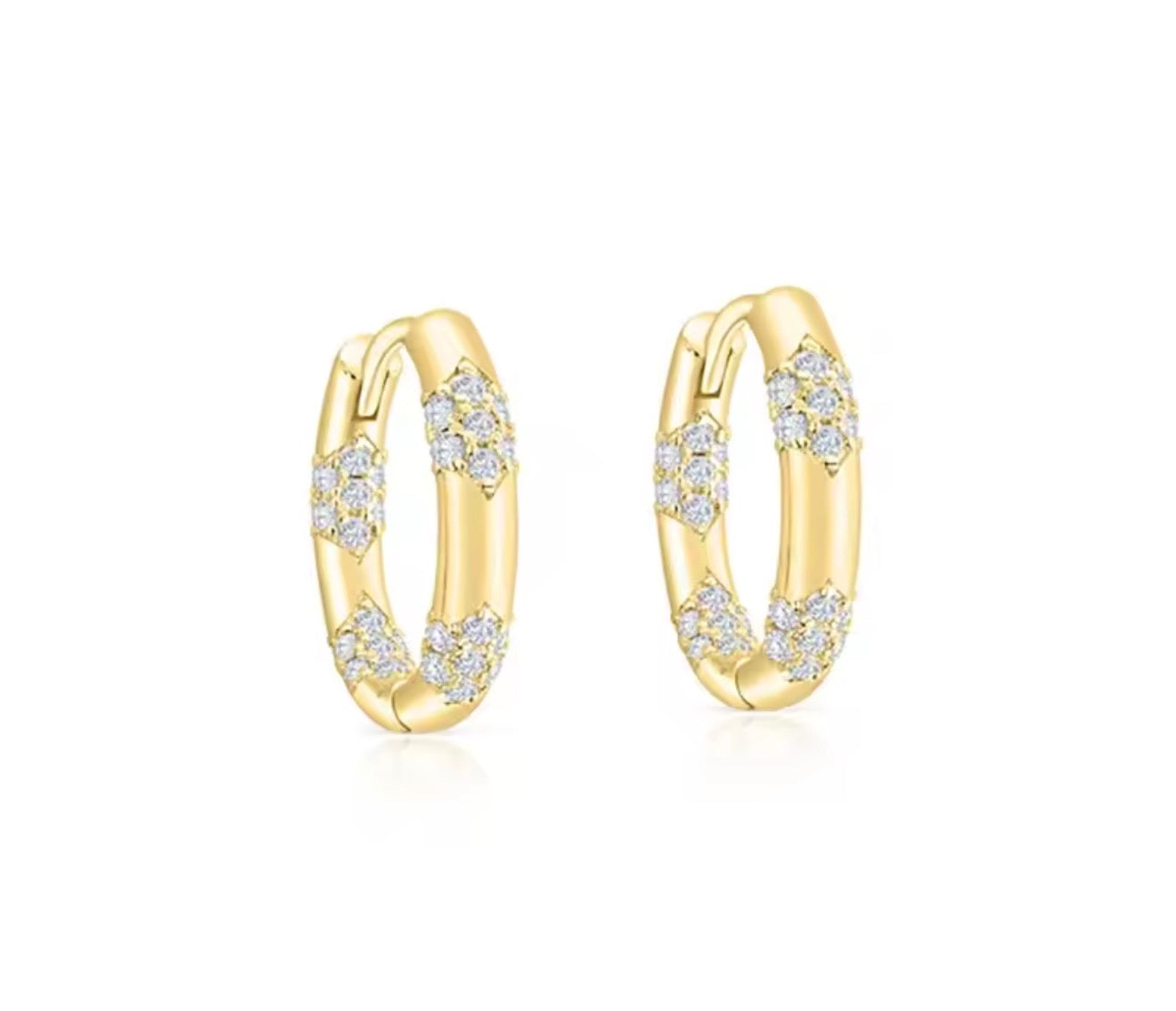 Auraxy Earrings