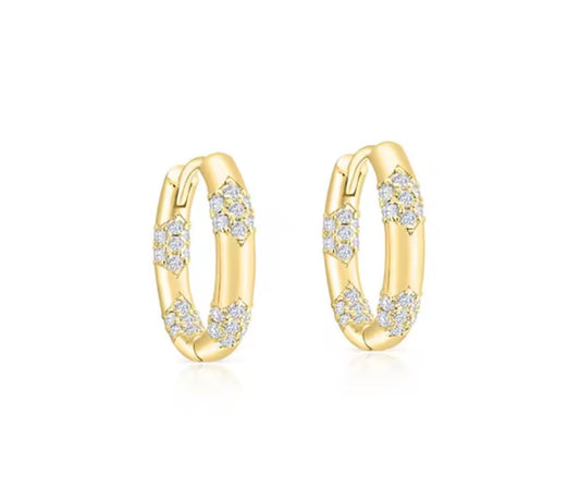 Auraxy Earrings