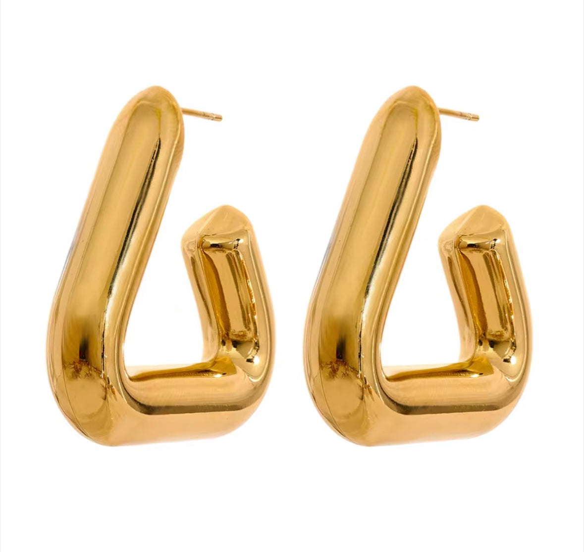 Modena Iconc Earrings