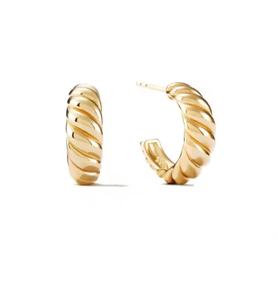 Wind Earrings