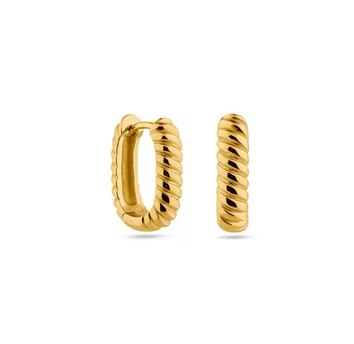 Petite Fancy Earrings